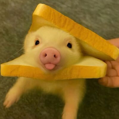 ～
