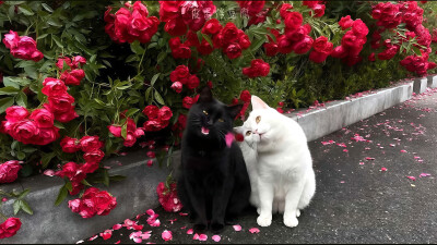 ～