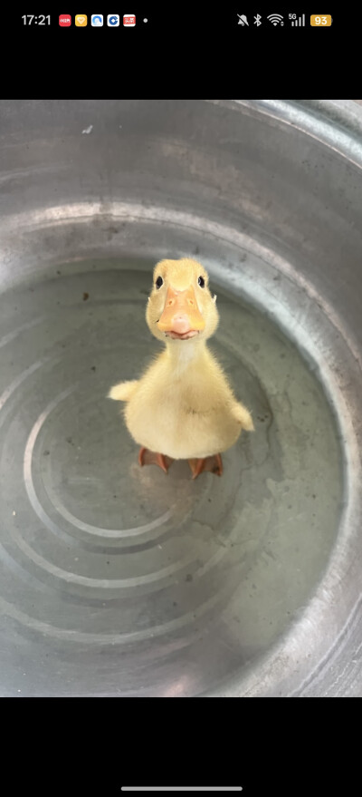 。
