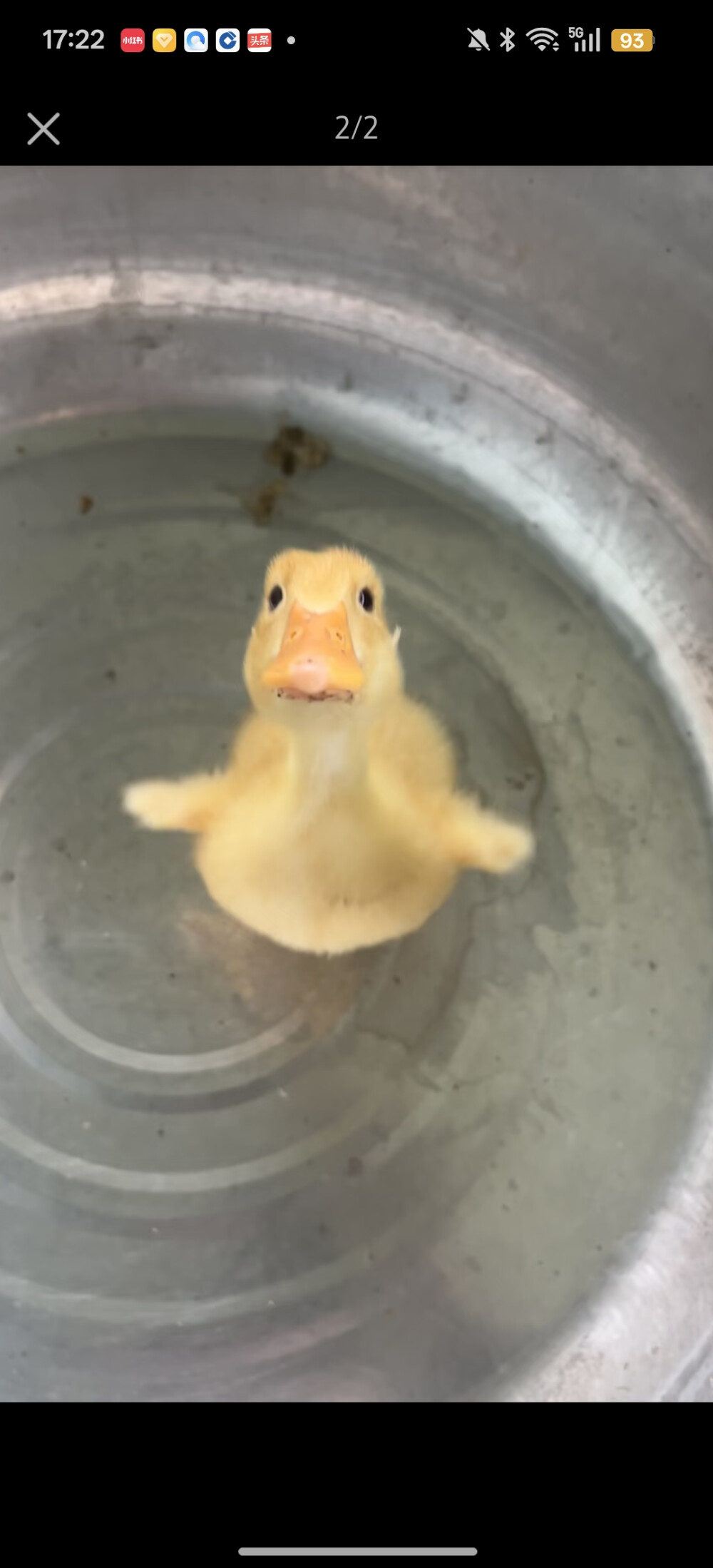 。