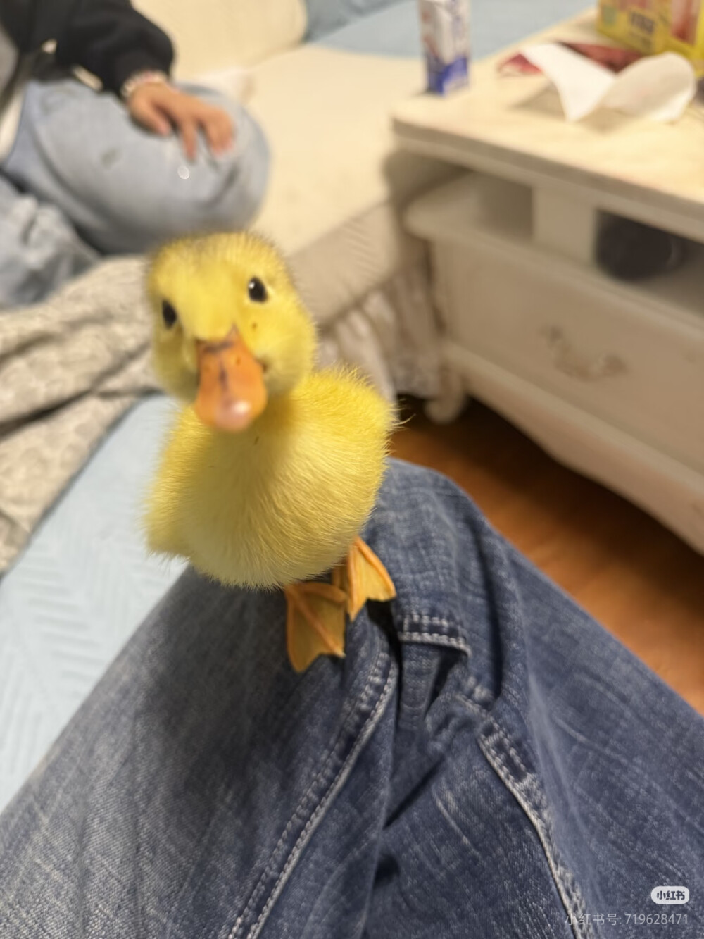 。