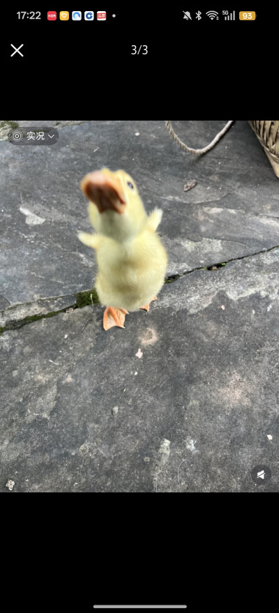 。