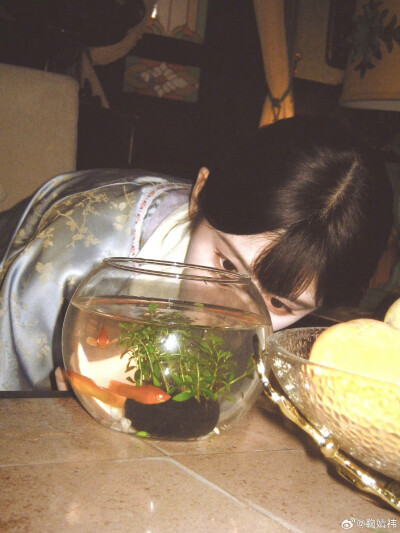鞠婧祎