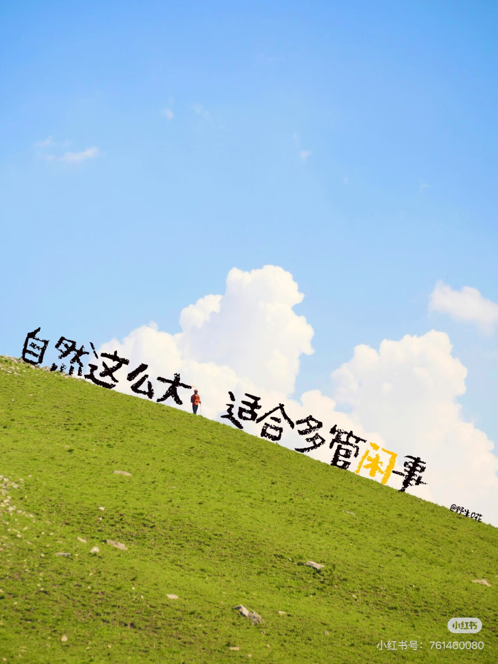 壁纸