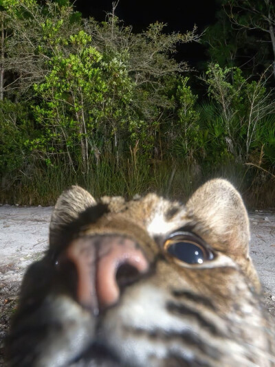 ～