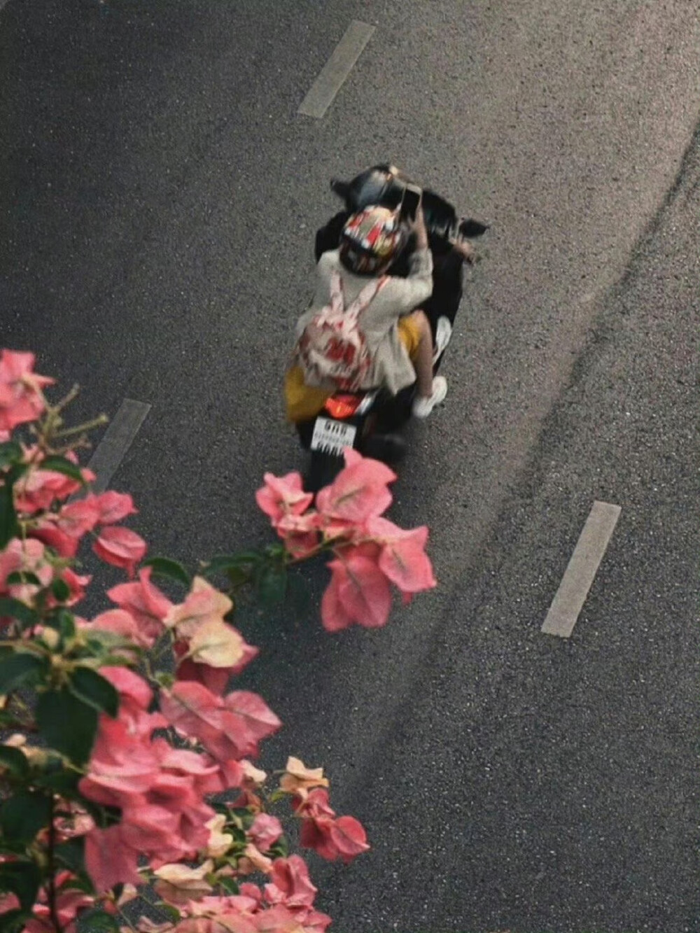 人生限定的瞬间 ​​​