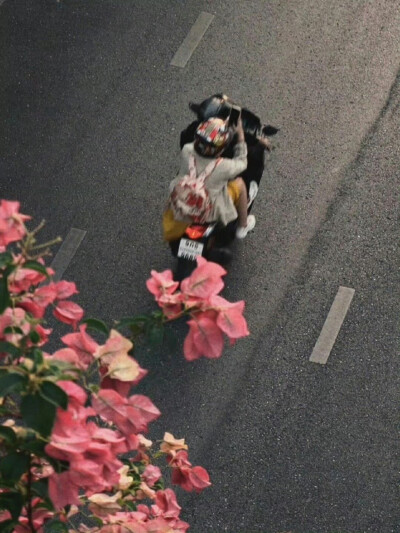 人生限定的瞬间 ​​​