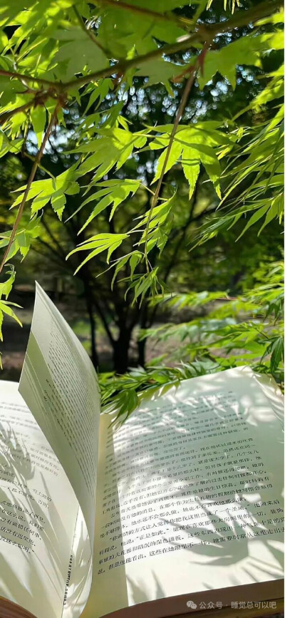 侵删