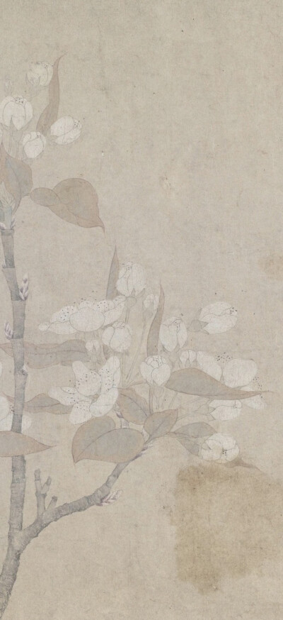 宋画