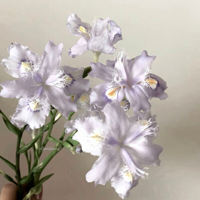 图源ks：偷喝汽水