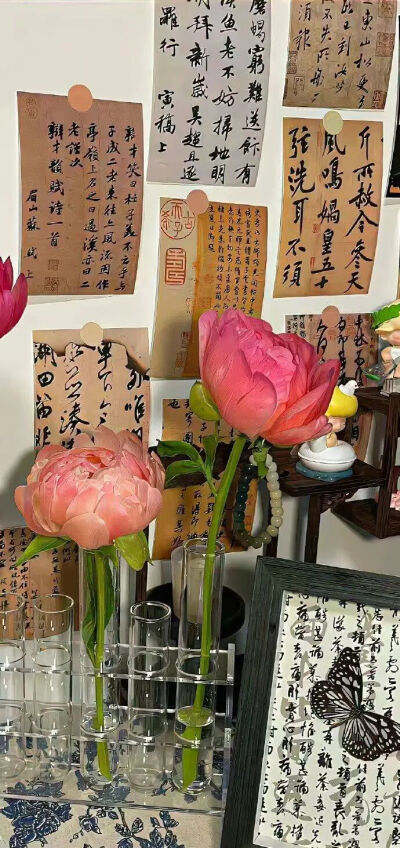 侵删