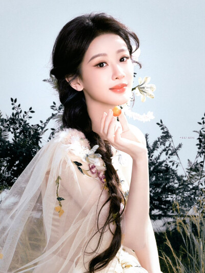 杨紫