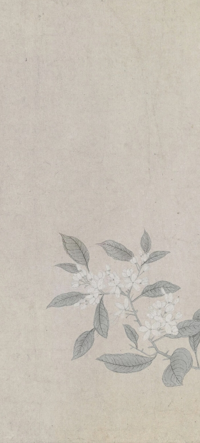 宋画