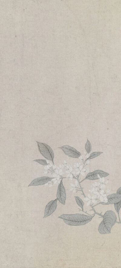 宋画