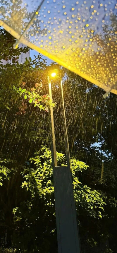 侵删