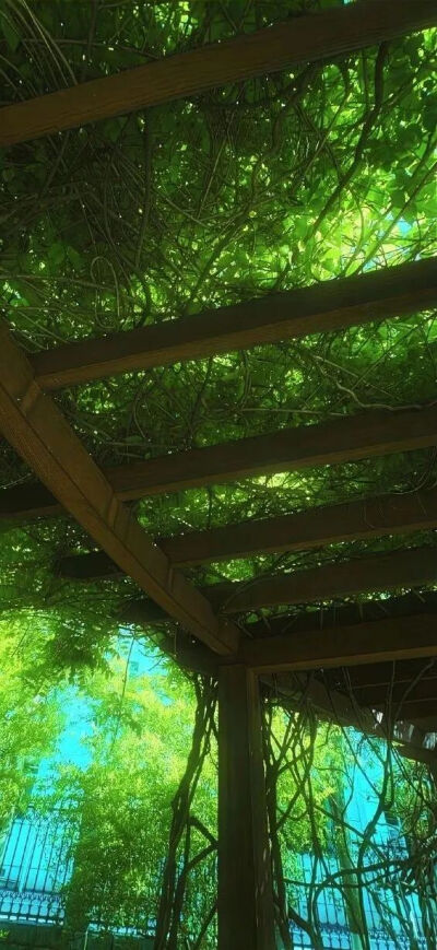 侵删