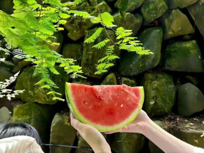 侵删