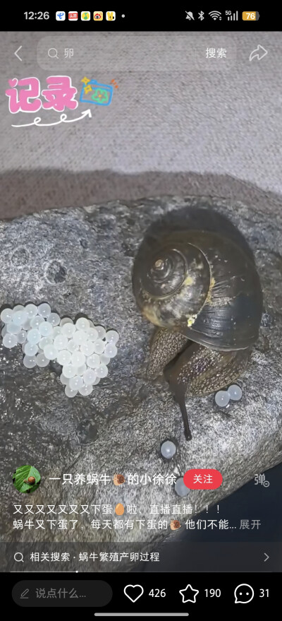 。