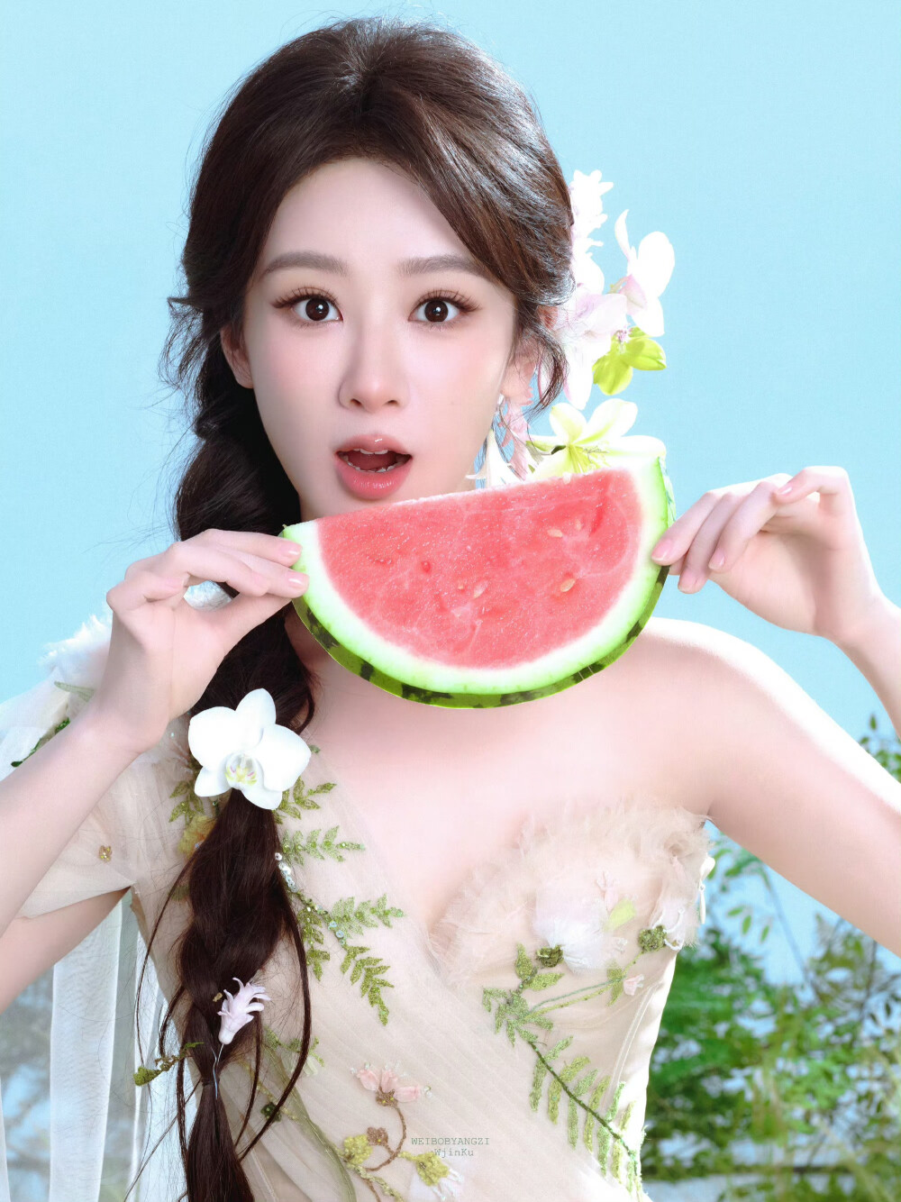 杨紫