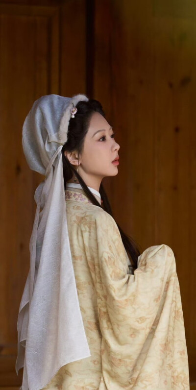 杨紫《家业》李祯