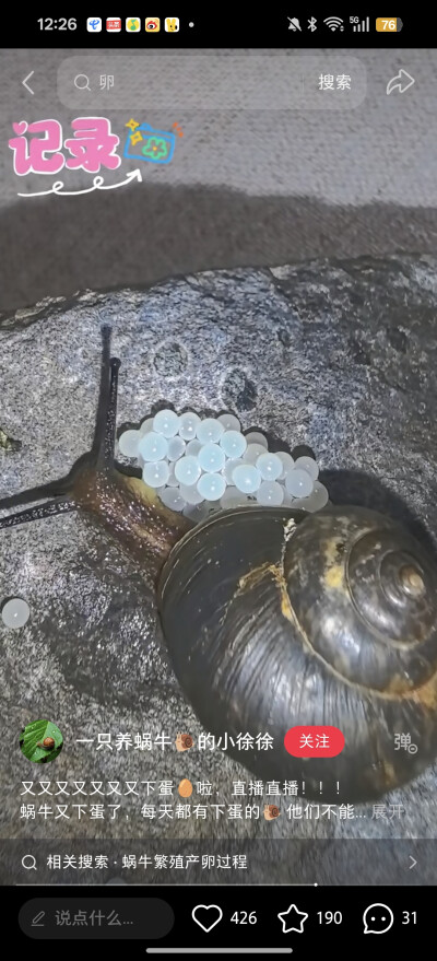 。
