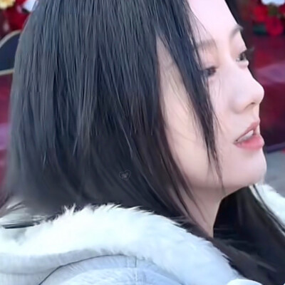 我的左手是猫