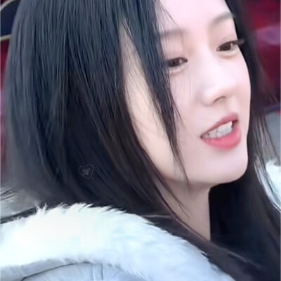 我的左手是猫