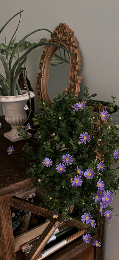 壁纸