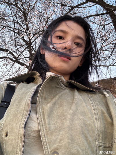 张婧仪