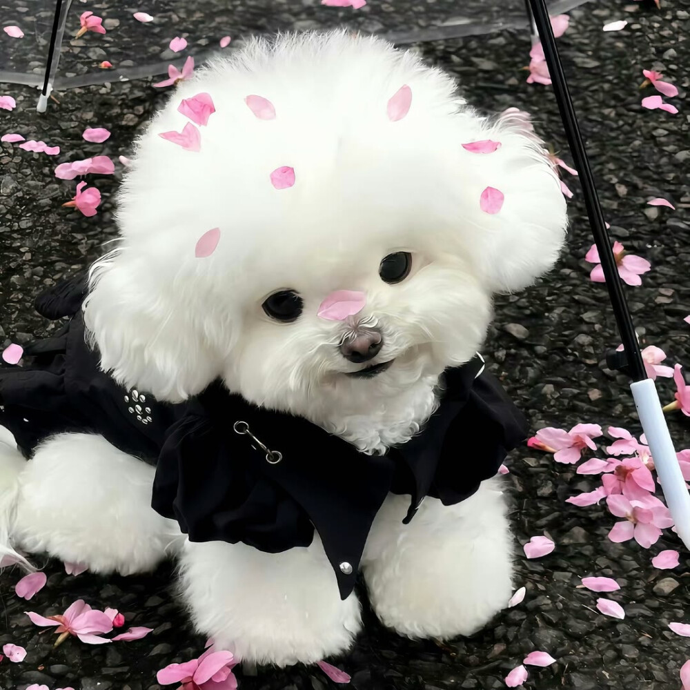 图源ks：偷喝汽水