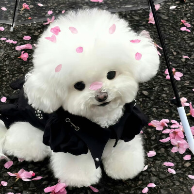 图源ks：偷喝汽水