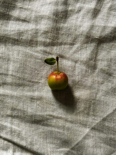 日常
S