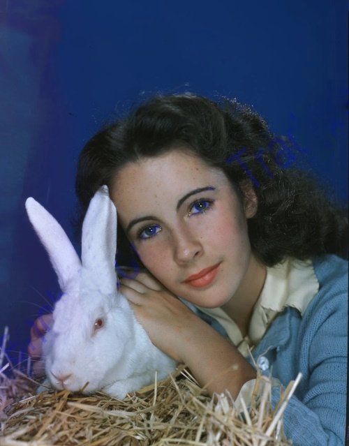 Elizabeth Taylor ​​​