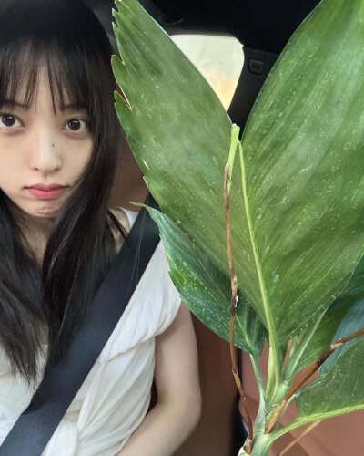 金宝罗