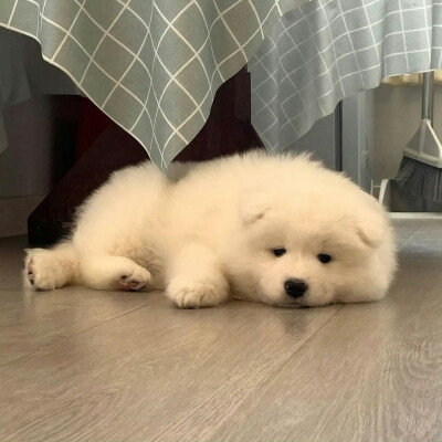 图源ks：偷喝汽水