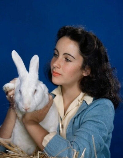Elizabeth Taylor ​​​