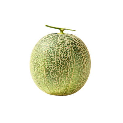 水果白底头像