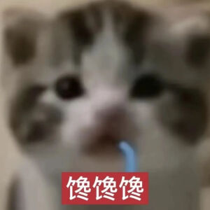 猫猫表情包