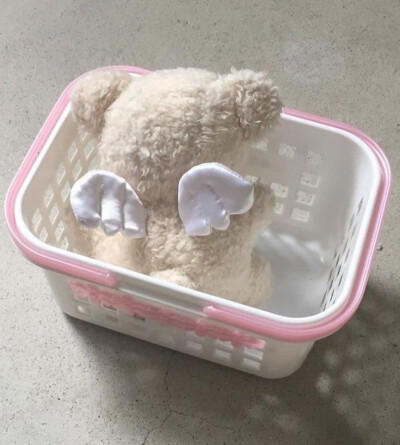 ψ( • ̀ω •́ キ)↝