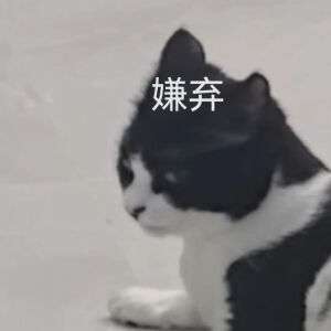 猫猫表情包