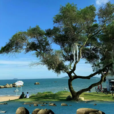 背景