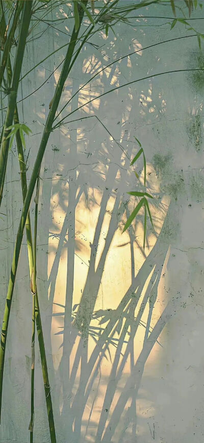 绿色壁纸