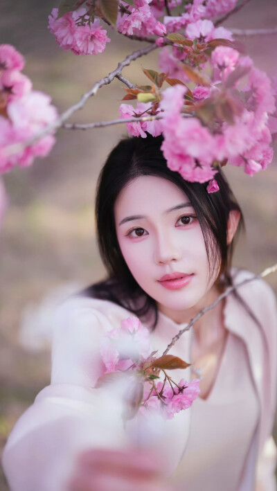 锦子