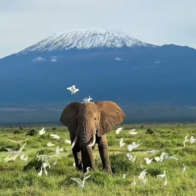 ～