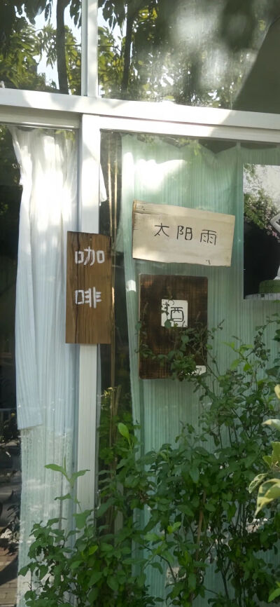 绿色壁纸