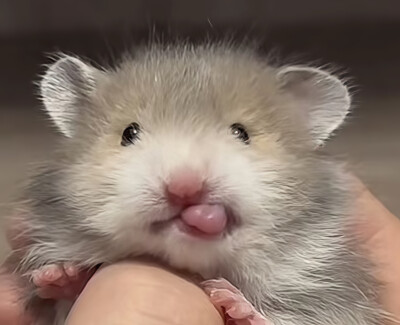 ～
