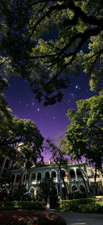 壁纸