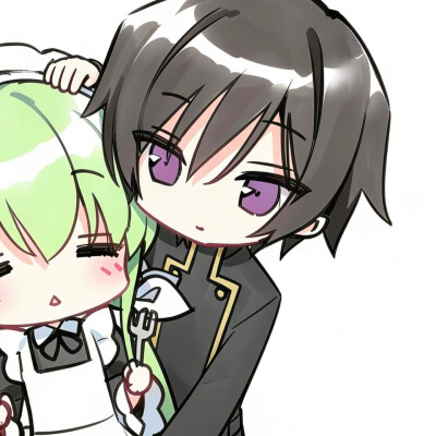 自用
