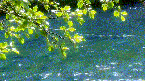 动图｜山野来信，夏日浪漫