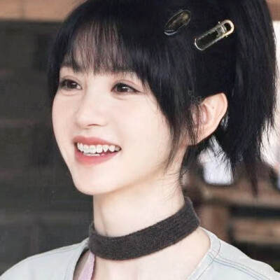 这世界也有猪在忙忙碌碌寻宝藏